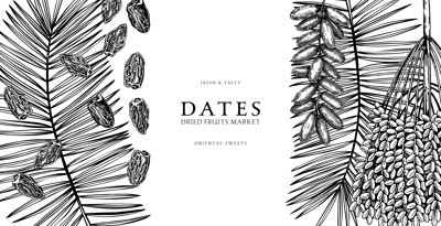 Healthy food background with dates palm leaves and dried fruits sketches. Hand drawn oriental sweets border design isolated on white backdrop. Vintage ripe dates banner template in vintage style
